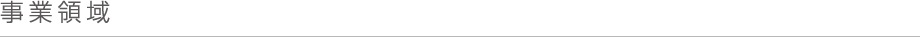 事業領域