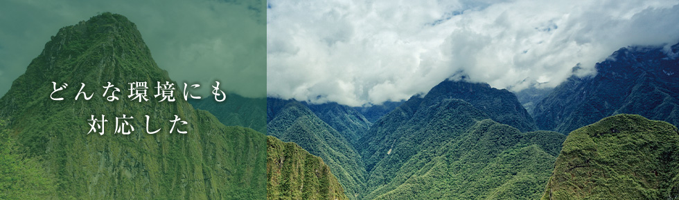 とまと情報株式会社